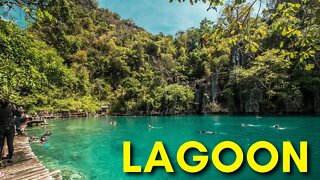 LiQWYD & Luke Bergs - Lagoon #Sax Music [ Free RoyaltyBackground Music]