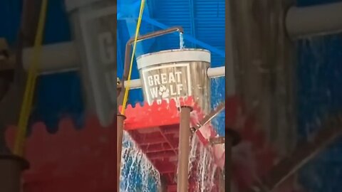 Make A Splash At The New Great Wolf Lodge 🐺 #summerloadingwithyoutube #shorts