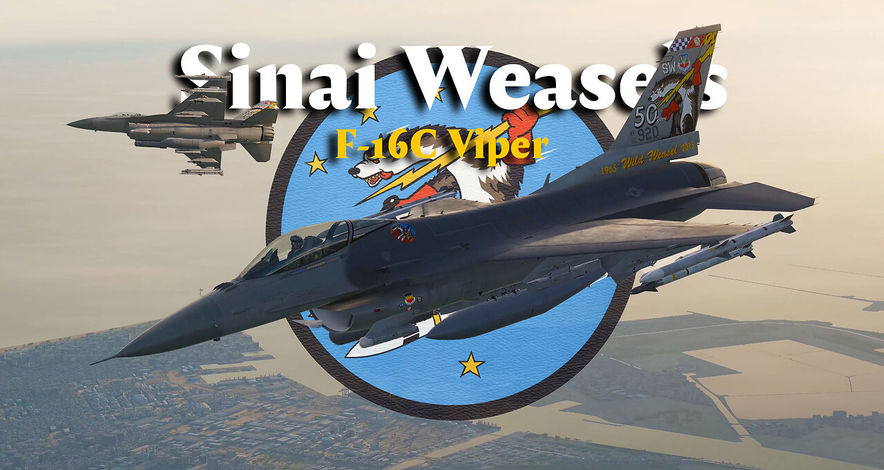 Sinai Weasel’s