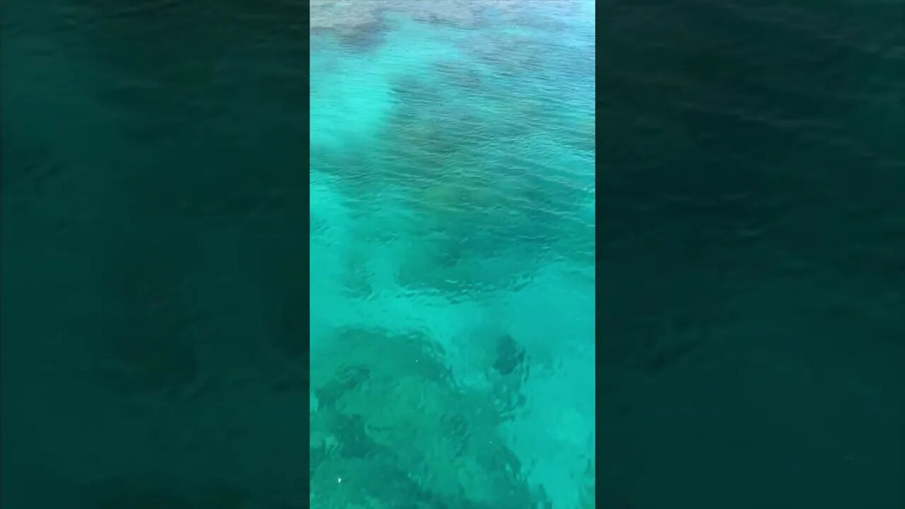Red Sea Coral Flow | The Pina Colada Dance | Pamela Storch