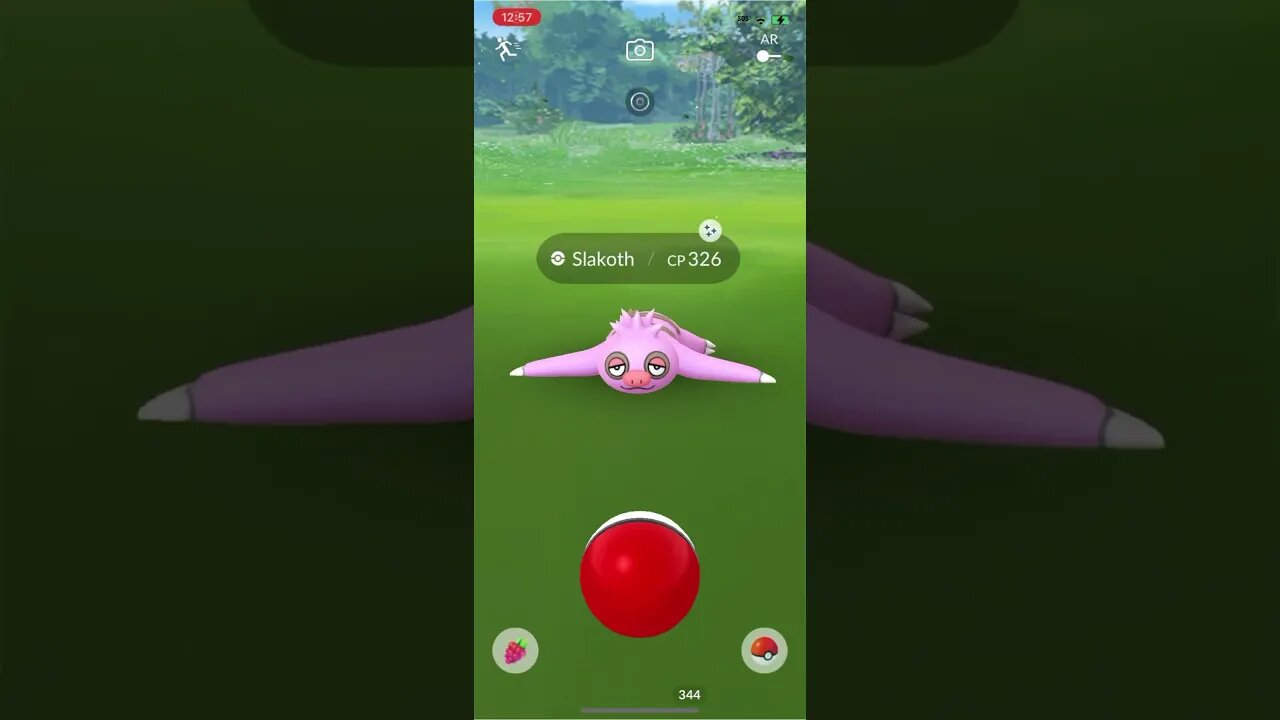 Shiny Compilation