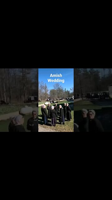 Amish Wedding PA.