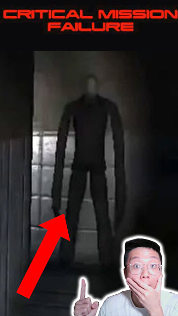 Critical Mission Failed #shorts #cats #funny #hilarious #boring #work #working