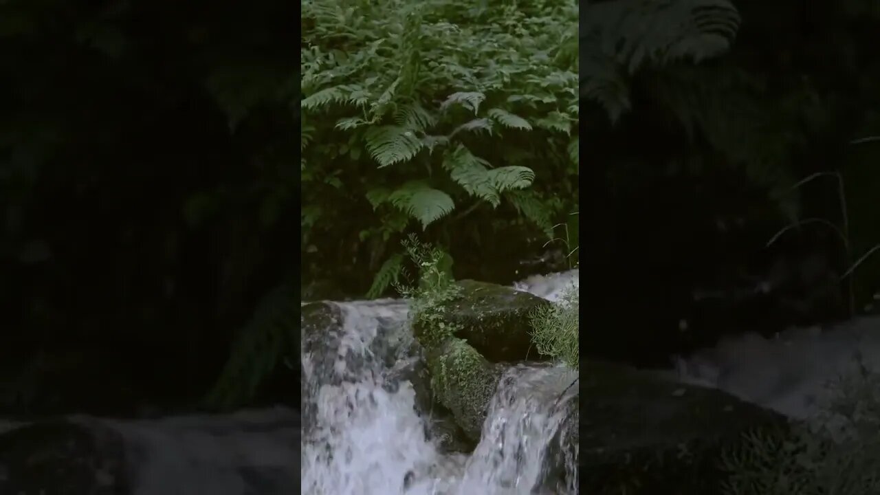 Beautiful landscapes. Double Tap if you wished to visit. #landscape #beautiful #relax #asmr #shorts