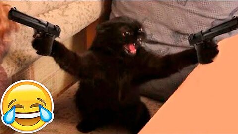 New Funny Animals 😂 Funniest Cats and Dogs Videos 😺🐶