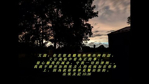 今天的每日聖經經文Jīntiān de měi rì shèngjīng jīng wén