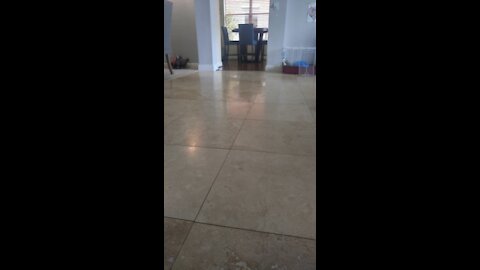 Crack in Travertine Floor