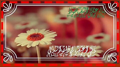 تلاوة هادئة لتلاوة هادئة@nsrm11