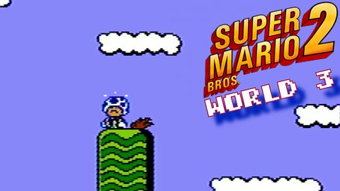 Super Mario Bros. 2 (Nintendo Entertainment System) World 3