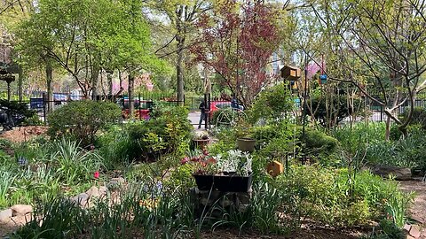 Julia Gabriel People’s Garden (Morningside Heights)