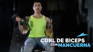 Curl de Biceps con Mancuernas