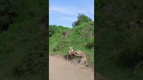 Bem que tentou, mas não deu! Já era!!