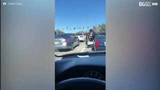 Deux chiens en pleine scène romantique sur l'autoroute