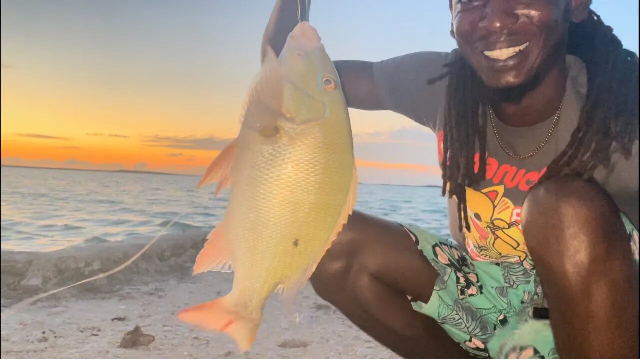 Mutton Snapper Catch And Clean In The Bahamas