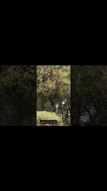 ٦ نوفمبر، ٢٠٢٢