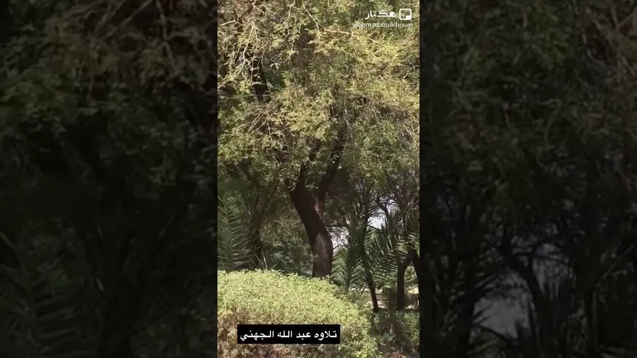 ٦ نوفمبر، ٢٠٢٢