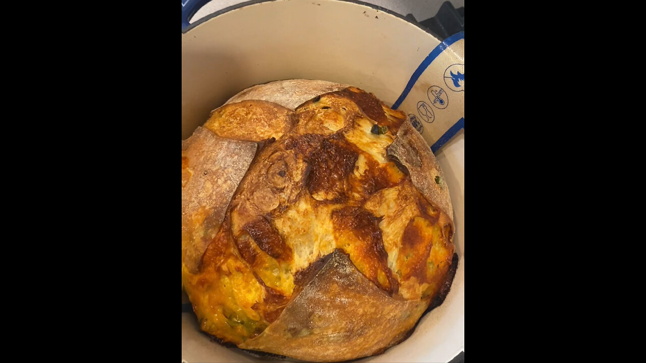 Is That Your Stomach Growling, or My Sourdough? Turn volume up!