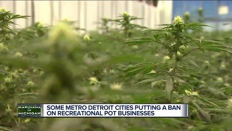 Cities work to come up with marijuana policies in wake of vote to legalize