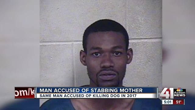 Accused dog killer charged with stabbing his mom