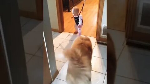 Trying doing this…just like me. 😜🐕👶🏼 #shorts #shortsfeed #clips #shortvideo