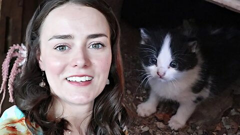 We Have Kittens! | Let's Talk IBD