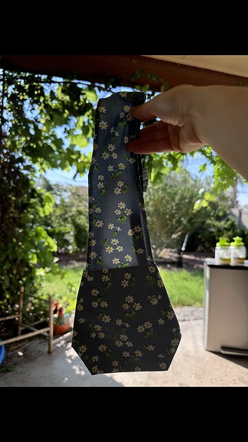 Putting diappers on my chickens for the first time