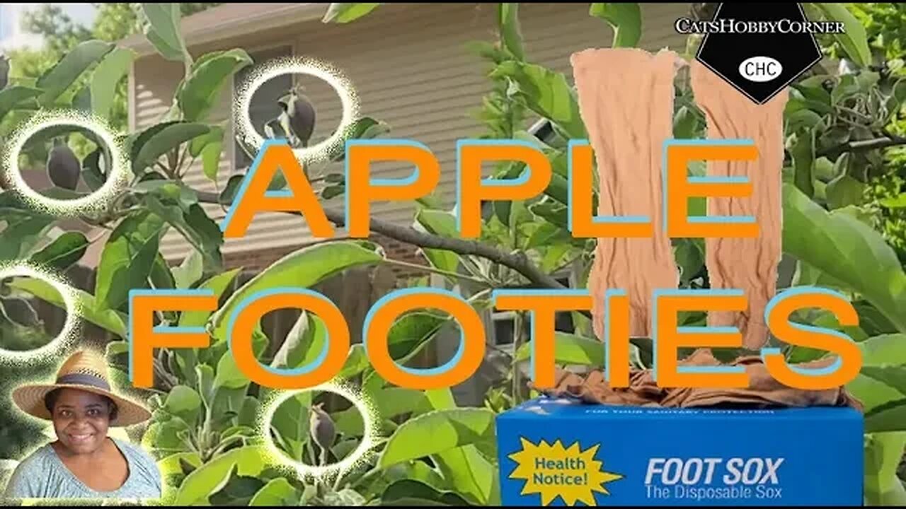 #appletree & #footie #socks - #catshobbycorner