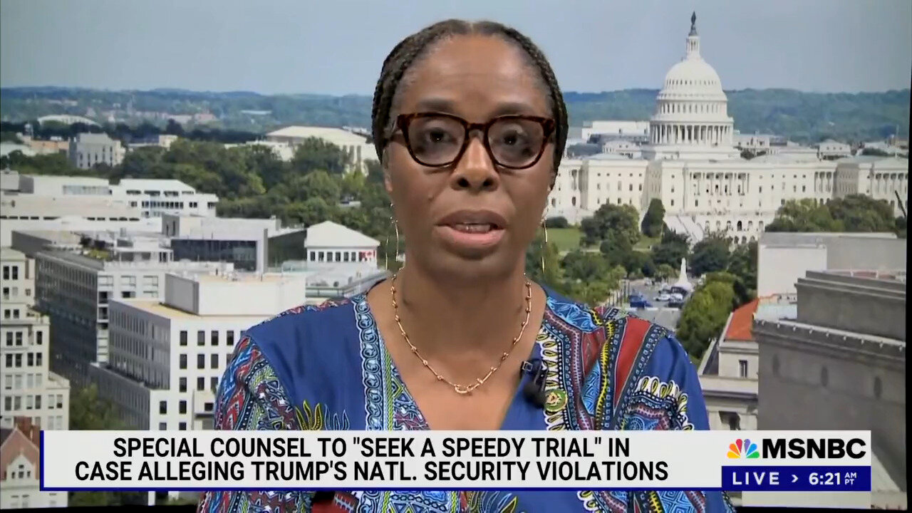 Wait, What Did Rep. Stacey Plaskett Say About Trump?