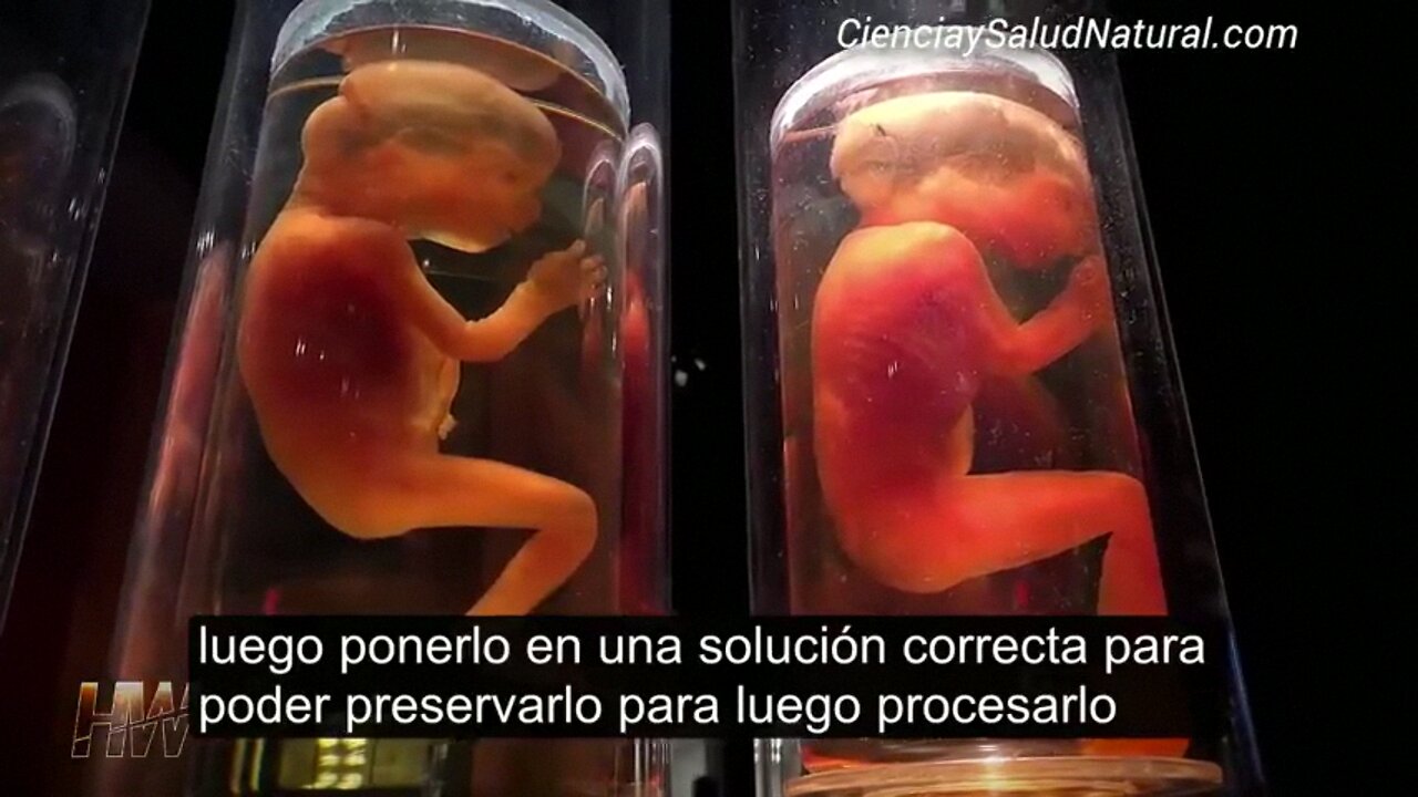 Bebe Fabricar Para Vacunas - HW Edicion - Genocido Continuar