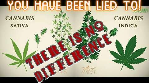 Sativa vs Indica - The REAL Difference! - Science Backed Explanation!