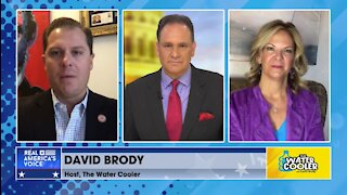 GOP Chairwoman and Arizona State Representative discuss Arizona's new election integrity law