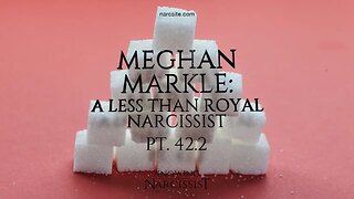 Her Denigrators and Supporters Part 2 (Meghan Markle)