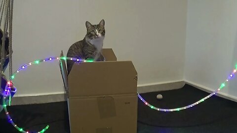Is There Something for Me in This Box?