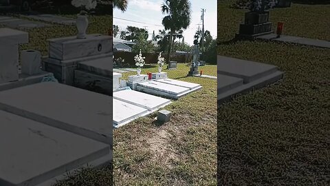 #taphophile #cemetery