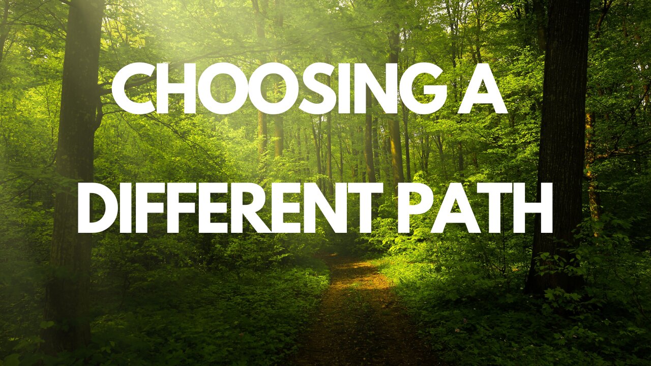 Choosing a Different Path & Dog walk through the woods