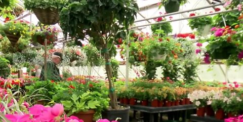 How to resolve a floral delivery problem