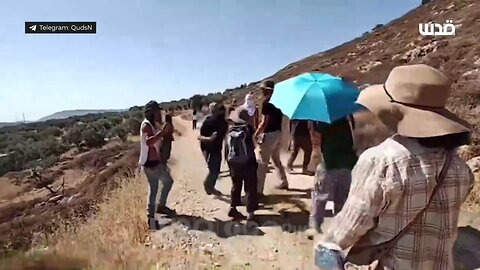 Raw footage of Israeli settlers attacking foreign volunteers in the West Bank