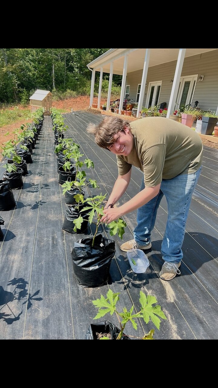 Okra, Chicks & Wes! I love my life~! ❤️