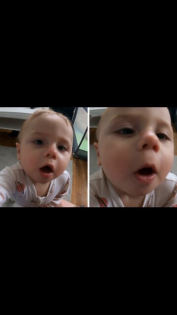 Watch Out! Cutest Camera Attack Ever Caught On Tape!