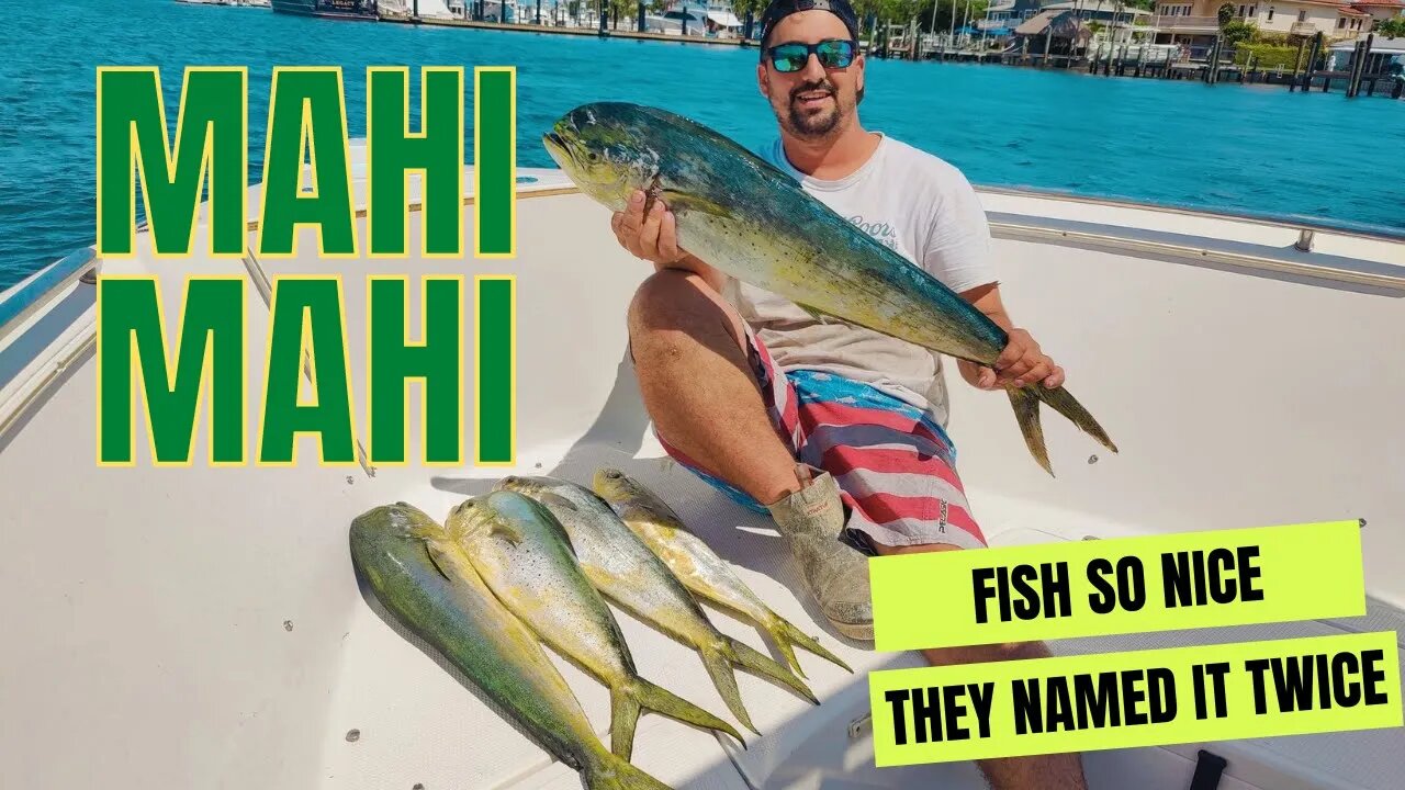 We snuck out before the wedding and caught some Mahi Mahi!!