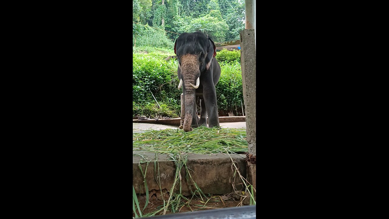 Ecotourism kerala