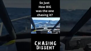 Shark JUMPS onto Boat - EH?