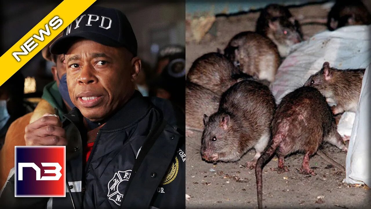 NYC MAYOR: WE ARE GOING TO KILL SOME RATS