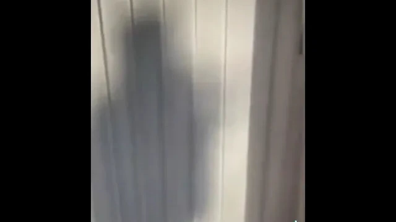 Who or what is that outside?