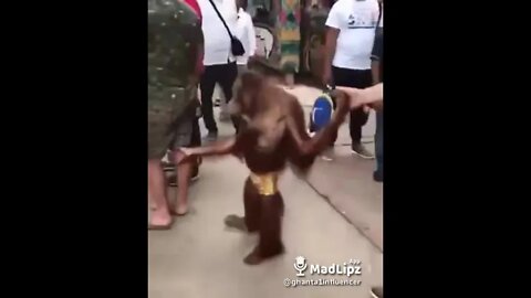 funny monkey😂