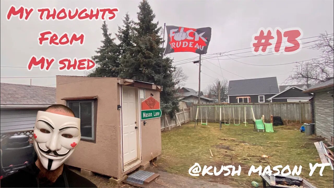 My thoughts from my shed #13