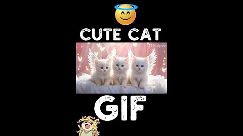 Cute Cat Gif