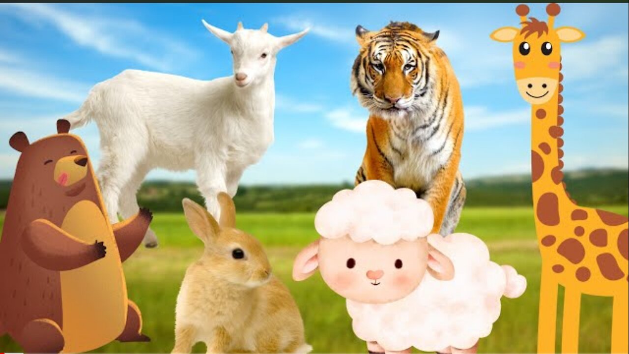 Interesting animals, animal sounds - Cow, dog, sheep, giraffe, rabbit,...