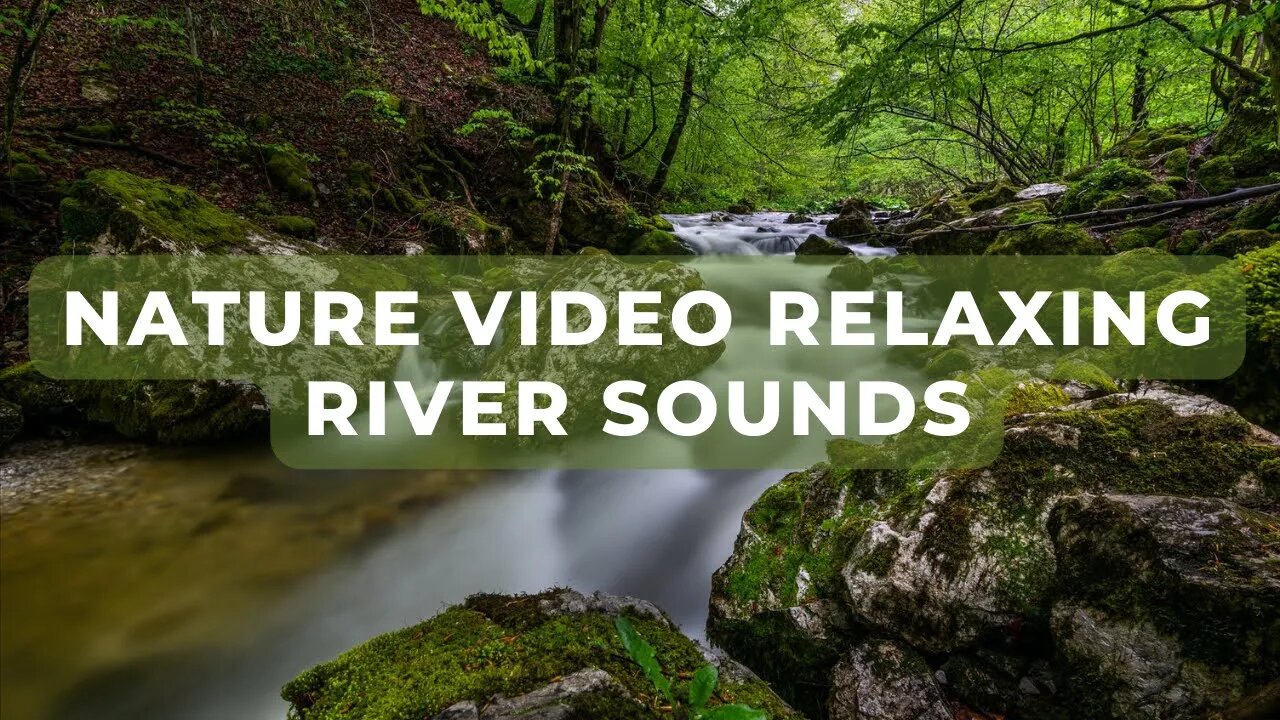 Nature Video Relaxing River Sounds | Silent Forest River - 1 Hour | HD 1080p | Nature Video