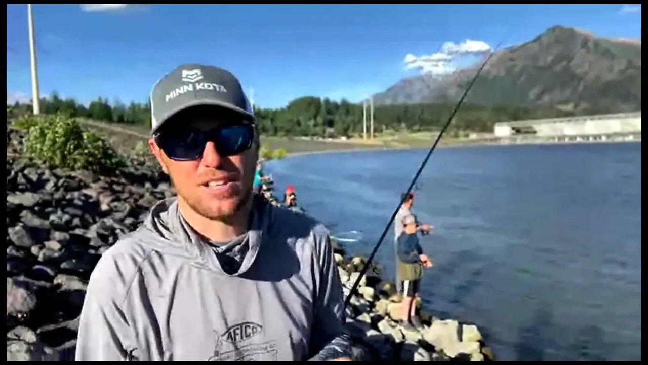 Fishing for Shad LIVE below a Dam! (Part 1 Test)